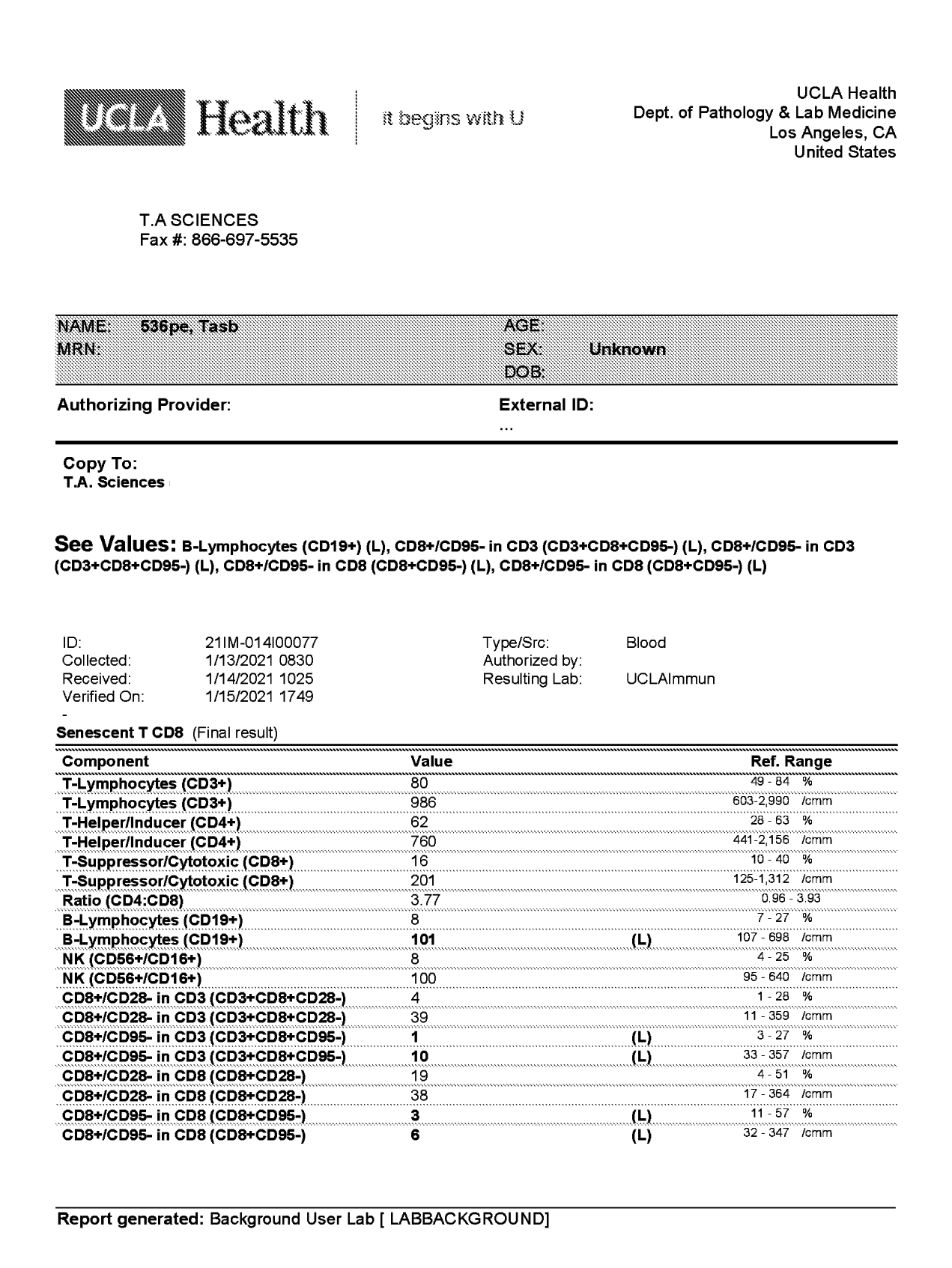 Immunophenotyping Test Report