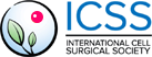 ICSS Logo