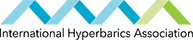 A4M MMI Logo