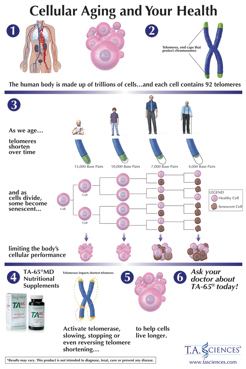 Information on cell aging and your health