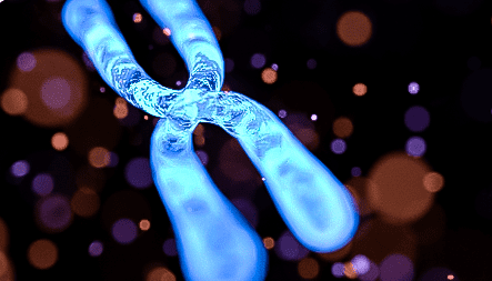 Telomere Lenghtening