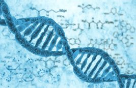 Telomerase research